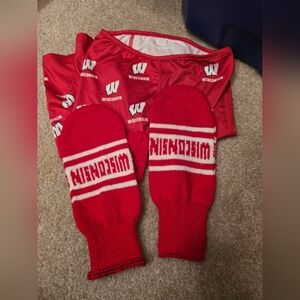 UW wisconsin badgers winter set